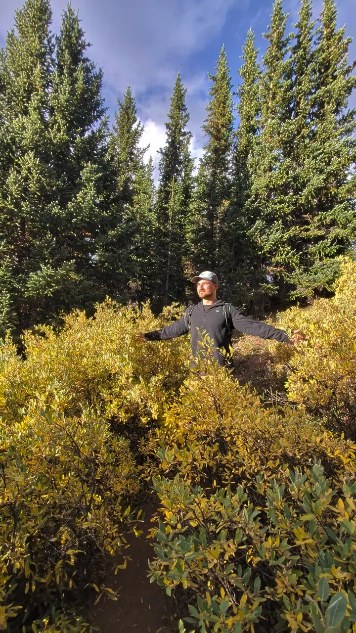 Brendan O’Connor standing on a trail among golden shrubs and evergreen trees.